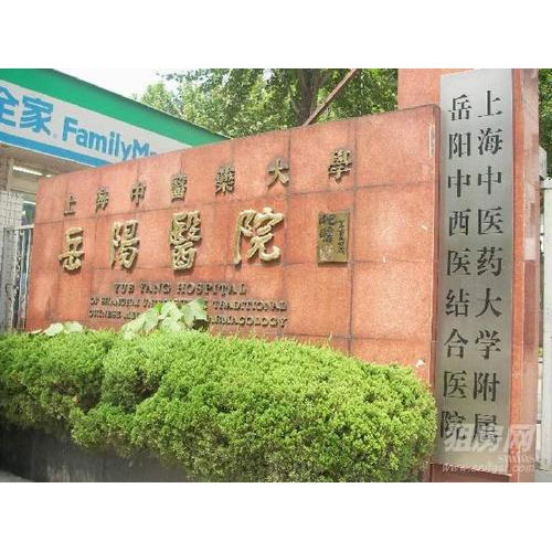 上海岳阳医院